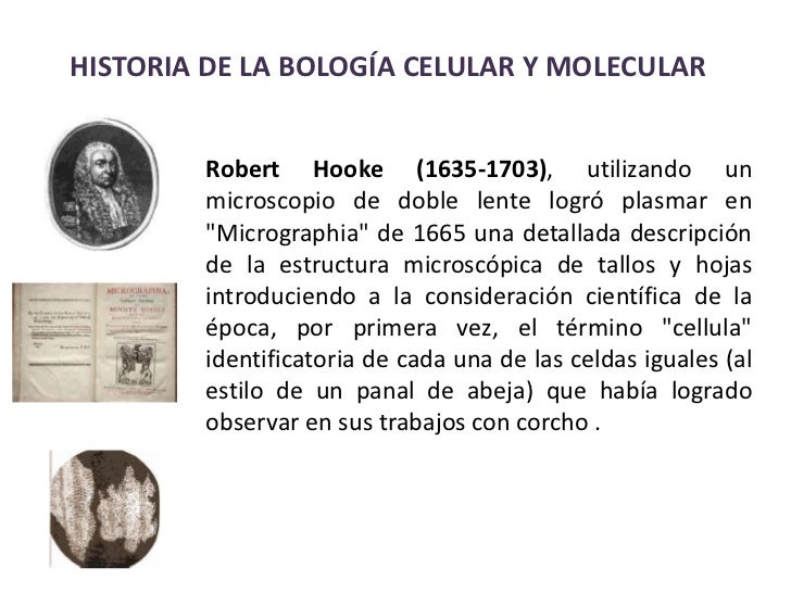 Historico celular biologia