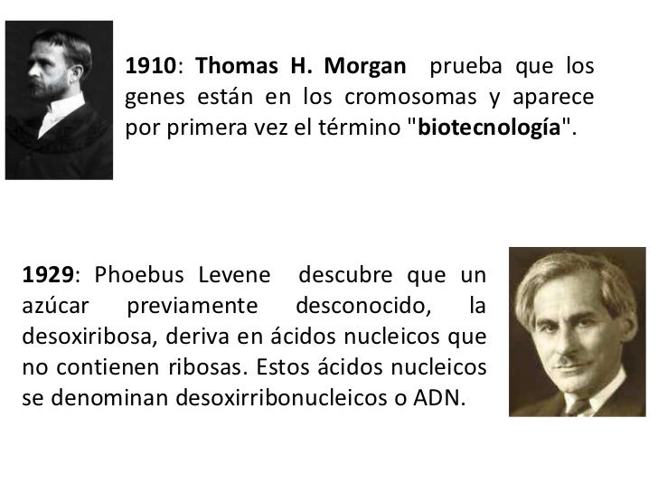Historico celular biologia Historico celular biologia