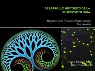 Principios de la Neuropsicología Humana
                            Rains Dennis




                  Mónica Sandoval Saenz
                    PhdC Neurociencias
 