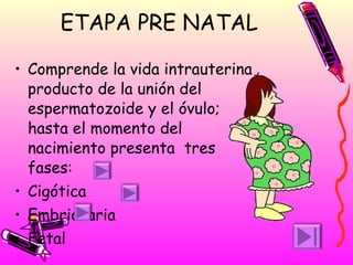 ETAPA PRE NATAL <ul><li>Comprende la vida intrauterina producto de la unión del espermatozoide y el óvulo; hasta el moment...