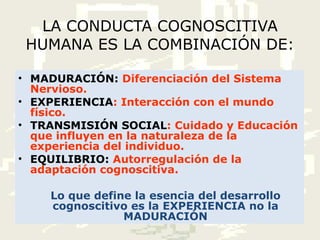 LA CONDUCTA COGNOSCITIVA HUMANA ES LA COMBINACIÓN DE: MADURACIÓN:  Diferenciación del Sistema Nervioso. EXPERIENCIA : Interacción con el mundo físico. TRANSMISIÓN SOCIAL : Cuidado y Educación que influyen en la naturaleza de la experiencia del individuo. EQUILIBRIO:  Autorregulación de la adaptación cognoscitiva. Lo que define la esencia del desarrollo cognoscitivo es la EXPERIENCIA no la MADURACIÓN 