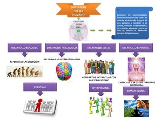 DIMENSION
DEL SER
HUMANO
DESARROLLO BIOLOGICO DESARROLLO PSICOLOGICO DESARROLLO SOCIAL DESARROLLO ESPIRITUAL
Conjunto de potencialidades
fundamentales con las cuales se
articula el desarrollo integral de
una persona; o también si se
quiere, unidades fundamentales,
de carácter abstracto, sobre las
que se articula el desarrollo
integral del ser humano.
PERSONAL INTERPERSONAL
TRANSPERSONAL
REFERIDA A LA EVOLUCION
REFERIDA A LA INTELECTUALIDAD
COMPARTIR E INTERACTUAR CON
NUESTRO ENTORNO
CREENCIAS Y FE EN LO QUE TRASCIENDE
A LO TERRENAL
 