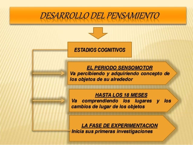 Etapas Del Mtodo Cientfico Quieres Saber Cuantas Son Y
