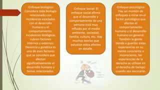 -Enfoque biológico:
Considera toda biología
relacionado con
incidencias asociadas
con el desarrollo
humano y el
comportamiento.
Incidencias biológicas
cubren factores
internos y externos.
Herencia y genética es
uno de esos factores
que se considera que
afectan
significativamente el
desarrollo humano y
temas relacionados.
-Enfoque psicológico:
Hay un montón de
enfoques a mirar en el
factor psicológico que
afectan el
comportamiento
humano y el desarrollo
humano en general.
También la gente
tiende a guardar estas
experiencias en su
mente consciente o
inconsciente, las
experiencias de la
derecha se utilizan en
el derecho de tiempo
cuando sea necesario.
-Enfoque Social: El
enfoque social afirma
que el desarrollo y
comportamiento de una
persona está muy
influido por el medio
ambiente, sociedad,
familia, cultura, etc. Hay
muchas teorías que
estudian estos efectos
en detalle.
 