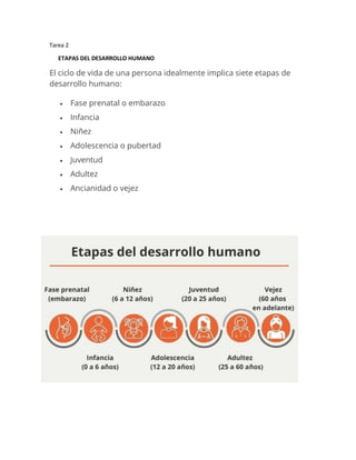 Tarea 2
ETAPAS DEL DESARROLLO HUMANO
El ciclo de vida de una persona idealmente implica siete etapas de
desarrollo humano:
• Fase prenatal o embarazo
• Infancia
• Niñez
• Adolescencia o pubertad
• Juventud
• Adultez
• Ancianidad o vejez
 