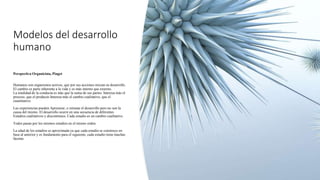 Modelos del desarrollo
humano
Perspectiva Organicista, Piaget
Humanos son organismos activos, que por sus acciones inician su desarrollo.
El cambio es parte inherente a la vida y es más interno que externo.
La totalidad de la conducta es más que la suma de sus partes. Interesa más el
proceso, que el producto Interesa más el cambio cualitativo, que el
cuantitativo.
Las experiencias pueden Apresurar, o retrasar el desarrollo pero no son la
causa del mismo. El desarrollo ocurre en una secuencia de diferentes
Estadios cualitativos y discontinuos. Cada estadio es un cambio cualitativo.
Todos pasan por los mismos estadios en el mismo orden.
La edad de los estadios es aproximada ya que cada estadio se construye en
base al anterior y es fundamento para el siguiente, cada estadio tiene muchas
facetas.
 