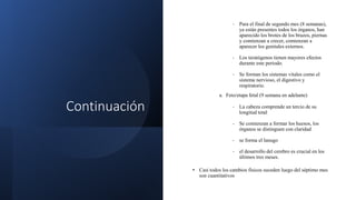 Continuación
- Para el final de segundo mes (8 semanas),
ya están presentes todos los órganos, han
aparecido los brotes de los brazos, piernas
y comienzan a crecer, comienzan a
aparecer los genitales externos.
- Los teratógenos tienen mayores efectos
durante este periodo.
- Se forman los sistemas vitales como el
sistema nervioso, el digestivo y
respiratorio.
a. Feto/etapa fetal (9 semana en adelante)
- La cabeza comprende un tercio de su
longitud total
- Se comienzan a formar los huesos, los
órganos se distinguen con claridad
- se forma el lanugo
- el desarrollo del cerebro es crucial en los
últimos tres meses.
• Casi todos los cambios físicos suceden luego del séptimo mes
son cuantitativos
 