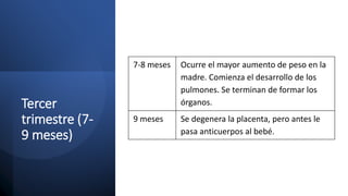 Tercer
trimestre (7-
9 meses)
7-8 meses Ocurre el mayor aumento de peso en la
madre. Comienza el desarrollo de los
pulmones. Se terminan de formar los
órganos.
9 meses Se degenera la placenta, pero antes le
pasa anticuerpos al bebé.
 