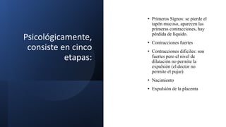 Psicológicamente,
consiste en cinco
etapas:
• Primeros Signos: se pierde el
tapón mucoso, aparecen las
primeras contracciones, hay
pérdida de líquido.
• Contracciones fuertes
• Contracciones difíciles: son
fuertes pero el nivel de
dilatación no permite la
expulsión (el doctor no
permite el pujar)
• Nacimiento
• Expulsión de la placenta
 