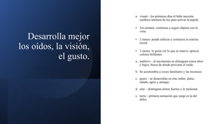 Desarrolla mejor
los oídos, la visión,
el gusto.
a. visual – los primeros días el bebe necesita
cambios intensos de luz para activar la pupila.
• 3ra semana: comienza a seguir objetos con la
vista.
• 2 meses: puede enfocar y comienza la sonrisa
social.
• 3 meses: le gusta ver lo que se mueve, aprecia
colores brillantes.
a. auditivo – al nacimiento se distinguen tonos altos
y bajos, busca de donde proviene el ruido.
b. Se acostumbra a voces familiares y las reconoce.
c. gusto – se desarrollan en este orden: dulce,
salado, agrio y amargo.
d. olor – distinguen olores fuertes y le molestan.
e. tacto – primera sensación que surge es la del
dolor.
 