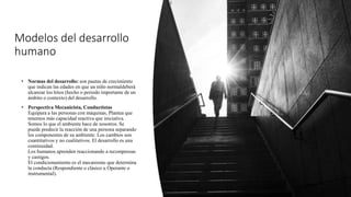Modelos del desarrollo
humano
• Normas del desarrollo: son pautas de crecimiento
que indican las edades en que un niño normaldeberá
alcanzar los hitos (hecho o periodo importante de un
ámbito o contexto) del desarrollo.
• Perspectiva Mecanicista, Conductistas
Equipara a las personas con máquinas, Plantea que
tenemos más capacidad reactiva que iniciativa.
Somos lo que el ambiente hace de nosotros. Se
puede predecir la reacción de una persona separando
los componentes de su ambiente. Los cambios son
cuantitativos y no cualitativos. El desarrollo es una
continuidad.
Los humanos aprenden reaccionando a recompensas
y castigos.
El condicionamiento es el mecanismo que determina
la conducta (Respondiente o clásico u Operante o
instrumental).
 