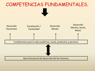 COMPETENCIAS FUNDAMENTALES.
Desarrollo
Psicomotor
Socialización /
Escolaridad
Desarrollo
Mental
Desarrollo
Afectivo, Social,
Moral.
Fundamentos para la vida académica, social, productiva y personal.
Base Estructural del desarrollo del Ser Humano.
 