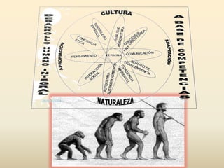 Desarrollo humano competencias