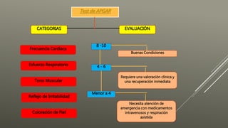 CATEGORIAS
Test de APGAR
Reflejo de Irritabilidad
Tono Muscular
Esfuerzo Respiratorio
Frecuencia Cardiaca
Coloración de Piel
EVALUACIÓN
8 -10
4 - 6
Menor a 4
Buenas Condiciones
Requiere una valoración clínica y
una recuperación inmediata
Necesita atención de
emergencia con medicamentos
intravenosos y respiración
asistida
 