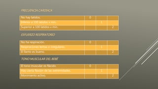 No hay latidos. 0
Inferior a 100 latidos x min. 1
Superior a 100 latidos x min. 2
No ha respiración. 0
Respiraciones lentas o irregulares. 1
El llanto es bueno. 2
El tono muscular es flácido. 0
Hay cierta flexión de las extremidades. 1
Movimiento activo. 2
FRECUENCIA CARDIACA
ESFUERZO RESPIRATORIO
TONO MUSCULAR DEL BEBÉ
 
