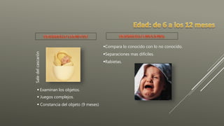 Saledelcascarón
Compara lo conocido con lo no conocido.
Separaciones mas difíciles.
Rabietas.
 Examinan los objetos.
 Juegos complejos.
 Constancia del objeto (9 meses)
 