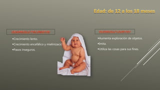 Crecimiento lento.
Crecimiento encefálico y mielinización.
Pasos inseguros.
Aumenta exploración de objetos.
Imita.
Utiliza las cosas para sus fines.
 
