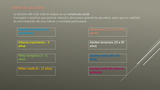 ETAPAS DEL CICLO VITAL
La división del ciclo vital en etapas es un constructo social
Concepto o práctica que parecía natural y obvia para quienes la aprueban, pero que en realidad
es una invención de una cultura o sociedad particulares.
Prenatal (concepción al
nacimiento)
Infancia (nacimiento – 3
años)
Niñez temprana (3 – 6
años)
Niñez media (6 – 11 años)
Adolescencia (11 a 20 años
aprox.)
Adultez temprana (20 a 40
años)
Adultez media (40 a 65
años)
Adultez tardía (65 años en
adelante)
 