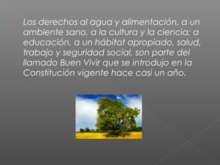    Los derechos al agua y alimentación, a un
    ambiente sano, a la cultura y la ciencia; a
    educación, a un hábitat apropiado, salud,
    trabajo y seguridad social, son parte del
    llamado Buen Vivir que se introdujo en la
    Constitución vigente hace casi un año.
 