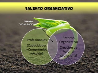 Profesionales
(Capacidades
+Compromiso
+Acción)
Entorno
Organizativo
Creación de
Valor al
profesional
TALENTO
ORGANIZACIONAL
Talento Organizativo
 