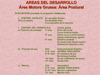 EVALUACIÓN :Consider ar la progresión céfalo - caudal   CONTROL CEFÁLICO :  En decúbito Supino ( 0 - 4 a 6 meses) En decúbito Pro no A la maniobra de la tracción   CONTROL DEL TRONCO : R.N. Cifosis global a)  Posición de sentado:  4° mes Parte alta recta Curvo lumbral med io 6° mes Dorso curvo a nivel lumbral Apoyo anterior(ang. agudo) 8° mes Dominio sentado Se sienta solo desde supino Defensivas laterales y pos. b)  Posición de pie: R.N.: Enderezamiento Estático 2° - 6° mes: AST A SIA FI SIOLÓGICA 8° - 9° mes: Se mantiene de pie No lordosis lumbar 10° mes:  De pie valiéndose de apoyo 14° mes:  De pie solo c)  Marcha R.N.:  Automática 2° - 6° mes ABASIA FISIOLÓGICA 9° - 10° mes Marcha cogiéndose 12° mes M archa solo AREAS DEL DESARROLLO Área Motora Gruesa: Área Postural 