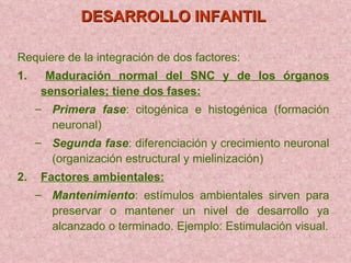 DESARROLLO INFANTIL Requiere de la integración de dos factores: 1.  Maduración normal del SNC y de los órganos sensoriales; tiene dos fases: Primera fase : citogénica e histogénica (formación neuronal) Segunda fase : diferenciación y crecimiento neuronal (organización estructural y mielinización)  2. Factores ambientales: Mantenimiento : estímulos ambientales sirven para preservar o mantener un nivel de desarrollo ya alcanzado o terminado. Ejemplo: Estimulación visual. 