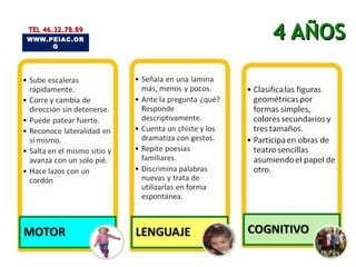 4 AÑOS WWW.PEIAC.ORG TEL 46.32.78.89 