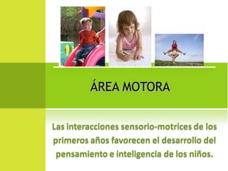 ÁREA MOTORA 