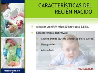 CARACTERÍSTICAS DEL RECIÉN NACIDO Al nacer un niñ@ mide 50 cm y pesa 3.5 kg. Características distintivas: Cabeza grande (1/4 de la longitud de su cuerpo) Ojos grandes Adormilado WWW.PEIAC.ORG TEL 46.32.78.89 