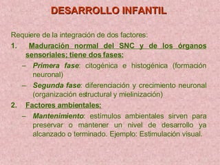 DESARROLLO INFANTIL Requiere de la integración de dos factores: 1.  Maduración normal del SNC y de los órganos sensoriales; tiene dos fases: Primera fase : citogénica e histogénica (formación neuronal) Segunda fase : diferenciación y crecimiento neuronal (organización estructural y mielinización)  2. Factores ambientales: Mantenimiento : estímulos ambientales sirven para preservar o mantener un nivel de desarrollo ya alcanzado o terminado. Ejemplo: Estimulación visual. 