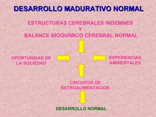 DESARROLLO MADURATIVO NORMAL ESTRUCTURAS CEREBRALES INDEMNES  Y  BALANCE BIOQUÍMICO CEREBRAL NORMAL OPORTUNIDAD DE LA SOCIEDAD EXPERIENCIAS AMBIENTALES CIRCUITOS DE RETROALIMENTACION DESARROLLO NORMAL 
