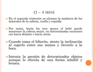 (1 – 4 MES)
 En el segundo trimestre se alcanza la madurez de los
músculos de la cabeza, cuello y espalda
 Por tanto, hacia los tres meses el bebé puede
mantener la cabeza mejor, en determinadas ocasiones
cae hacia delante o hacia atrás.
 Cuando toma el biberón, siente la inclinación
al cogerlo entre sus manos y llevarlo a la
boca.
 Intenta la presión de determinados objetos
aunque lo efectúa de una forma inhábil y
brusca.
 