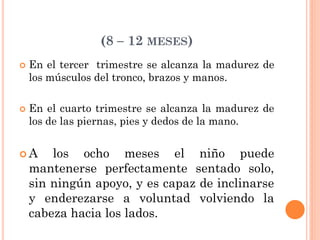 (8 – 12 MESES)
 En el tercer trimestre se alcanza la madurez de
los músculos del tronco, brazos y manos.
 En el cuarto trimestre se alcanza la madurez de
los de las piernas, pies y dedos de la mano.
 A los ocho meses el niño puede
mantenerse perfectamente sentado solo,
sin ningún apoyo, y es capaz de inclinarse
y enderezarse a voluntad volviendo la
cabeza hacia los lados.
 