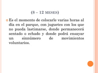 (8 – 12 MESES)
 Es el momento de colocarle varias horas al
día en el parque, con juguetes con los que
no pueda lastimarse, donde permanecerá
sentado o echado y donde podrá ensayar
un sinnúmero de movimientos
voluntarios.
 