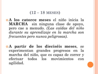 (12 – 18 MESES)
 A los catorce meses el niño inicia la
MARCHA sin ninguna clase de apoyo,
pero cae a menudo. (Las caídas del niño
durante su aprendizaje en la marcha son
frecuentes pero nunca peligrosas).
 A partir de los dieciséis meses, se
experimentan grandes progresos en la
marcha del niño, que es capaz de correr y
efectuar todos los movimientos con
agilidad.
 