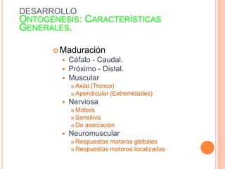 DESARROLLO
ONTOGÉNESIS: CARACTERÍSTICAS
GENERALES.
 Maduración
 Céfalo - Caudal.
 Próximo - Distal.
 Muscular
 Axial (Tronco)
 Apendicular (Extremidades)
 Nerviosa
 Motora
 Sensitiva
 De asociación
 Neuromuscular
 Respuestas motoras globales
 Respuestas motoras localizadas
 