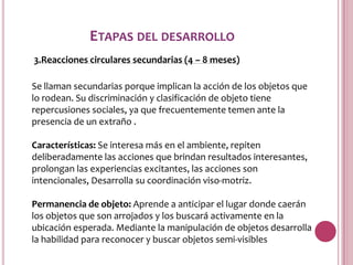 ETAPAS DEL DESARROLLO
3.Reacciones circulares secundarias (4 – 8 meses)

Se llaman secundarias porque implican la acción de los objetos que
lo rodean. Su discriminación y clasificación de objeto tiene
repercusiones sociales, ya que frecuentemente temen ante la
presencia de un extraño .

Características: Se interesa más en el ambiente, repiten
deliberadamente las acciones que brindan resultados interesantes,
prolongan las experiencias excitantes, las acciones son
intencionales, Desarrolla su coordinación viso-motriz.

Permanencia de objeto: Aprende a anticipar el lugar donde caerán
los objetos que son arrojados y los buscará activamente en la
ubicación esperada. Mediante la manipulación de objetos desarrolla
la habilidad para reconocer y buscar objetos semi-visibles
 