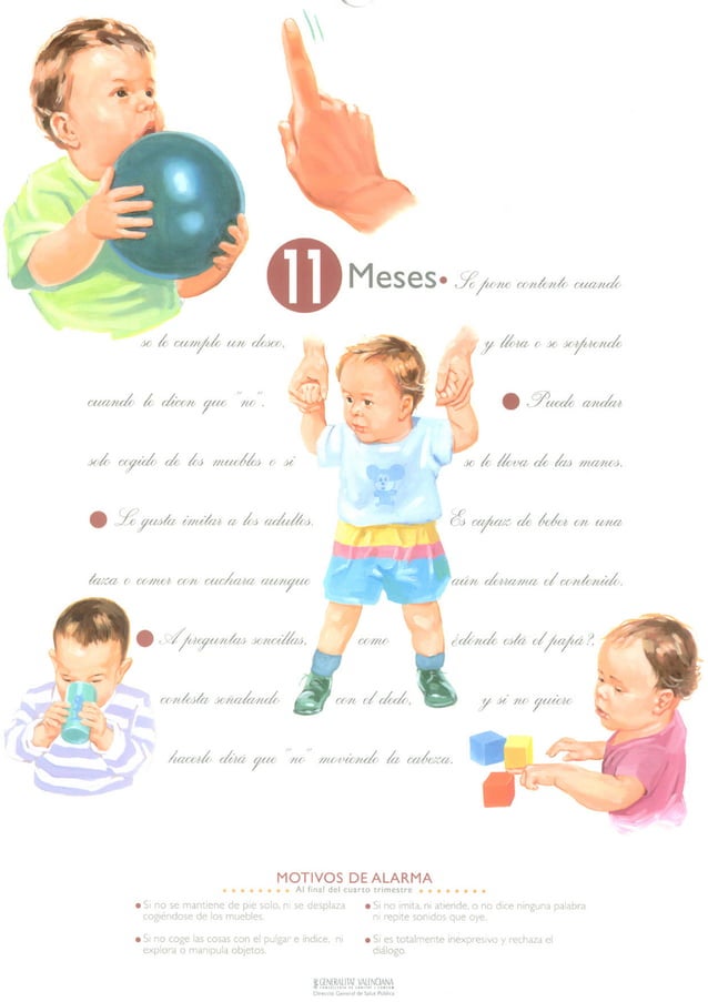 Calendario del desarrollo infantil