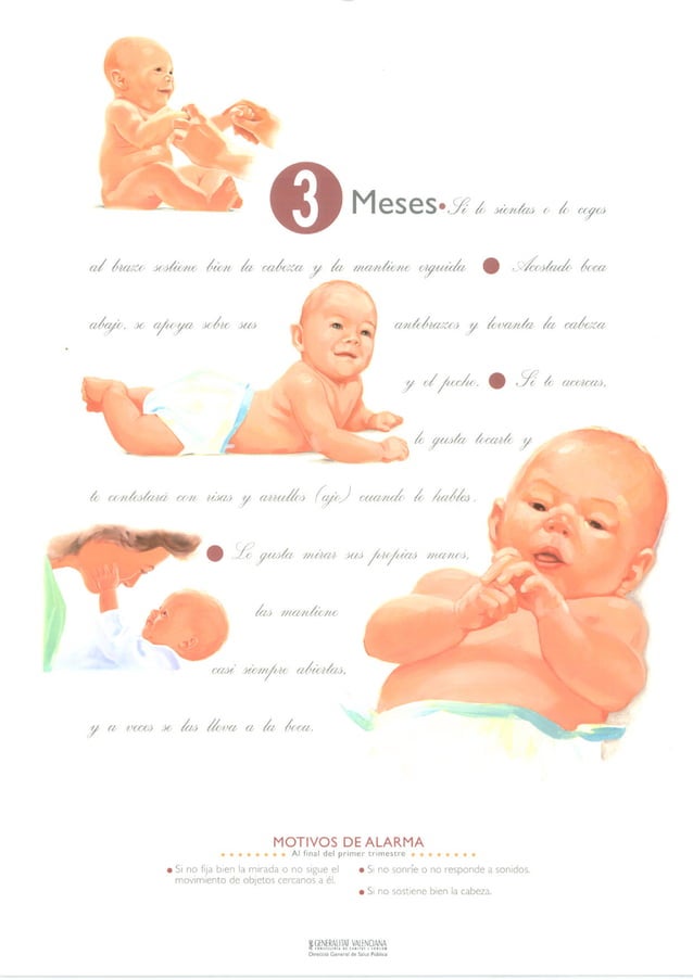 Calendario del desarrollo infantil