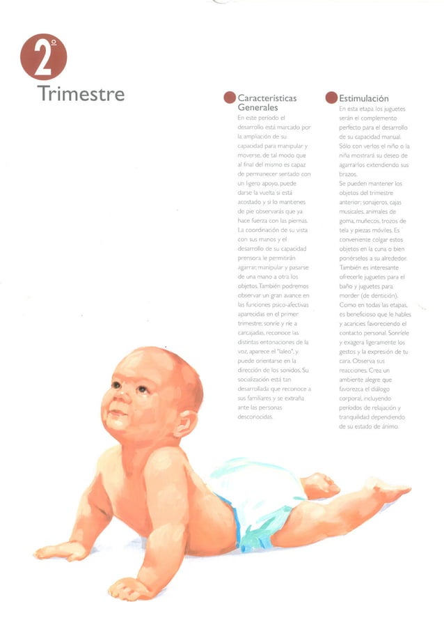 Calendario del desarrollo infantil
