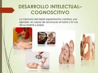 DESARROLLO INTELECTUAL–
COGNOSCITIVO
La memoria del bebé experimenta cambios, por
ejemplo, es capaz de reconocer el rostro y la voz
de su mamá y papá.
 