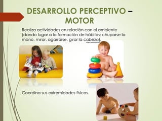 DESARROLLO PERCEPTIVO –
MOTOR
Realiza actividades en relación con el ambiente
(dando lugar a la formación de hábitos; chuparse la
mano, mirar, agarrarse, girar la cabeza).
Coordina sus extremidades físicas.
 