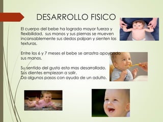 DESARROLLO FISICO
El cuerpo del bebe ha logrado mayor fuerza y
flexibilidad, sus manos y sus piernas se mueven
incansablemente sus dedos palpan y sienten las
texturas.
Entre los 6 y 7 meses el bebe se arrastra apoyando
sus manos.
Su sentido del gusto esta mas desarrollado.
Sus dientes empiezan a salir.
Da algunos pasos con ayuda de un adulto.
 