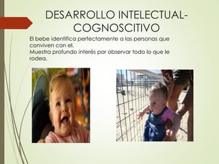 DESARROLLO INTELECTUAL-
COGNOSCITIVO
El bebe identifica perfectamente a las personas que
conviven con el.
Muestra profundo interés por observar todo lo que le
rodea.
 
