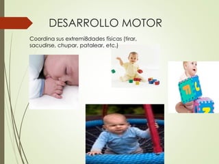 DESARROLLO MOTOR
Coordina sus extremi8dades físicas (tirar,
sacudirse, chupar, patalear, etc.)
 