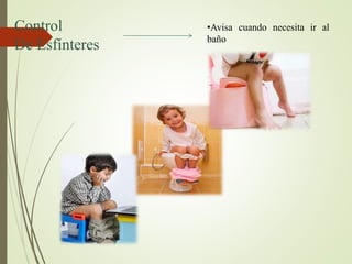 Control
De Esfínteres
•Avisa cuando necesita ir al
baño
 