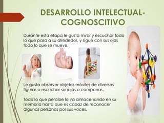 DESARROLLO INTELECTUAL-
COGNOSCITIVO
Durante esta etapa le gusta mirar y escuchar todo
lo que pasa a su alrededor, y sigue con sus ojos
todo lo que se mueve.
Le gusta observar objetos móviles de diversas
figuras o escuchar sonajas o campanas.
Todo lo que percibe lo va almacenando en su
memoria hasta que es capaz de reconocer
algunas personas por sus voces.
 