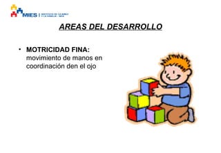 AREAS DEL DESARROLLO
• MOTRICIDAD FINA:
movimiento de manos en
coordinación den el ojo

 