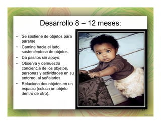Desarrollo 8 – 12 meses:
•  Se sostiene de objetos para
pararse.
•  Camina hacia el lado,
sosteniéndose de objetos.
•  Da pasitos sin apoyo.
•  Observa y demuestra
conciencia de los objetos,
personas y actividades en su
entorno, al señalarlos.
•  Relaciona dos objetos en un
espacio (coloca un objeto
dentro de otro).
23
 