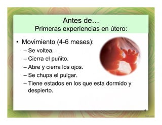 Antes de…
Primeras experiencias en útero:
•  Movimiento (4-6 meses):
– Se voltea.
– Cierra el puñito.
– Abre y cierra los ojos.
– Se chupa el pulgar.
– Tiene estados en los que esta dormido y
despierto.
4
 